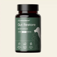 Gut Restore Supplement for Dogs