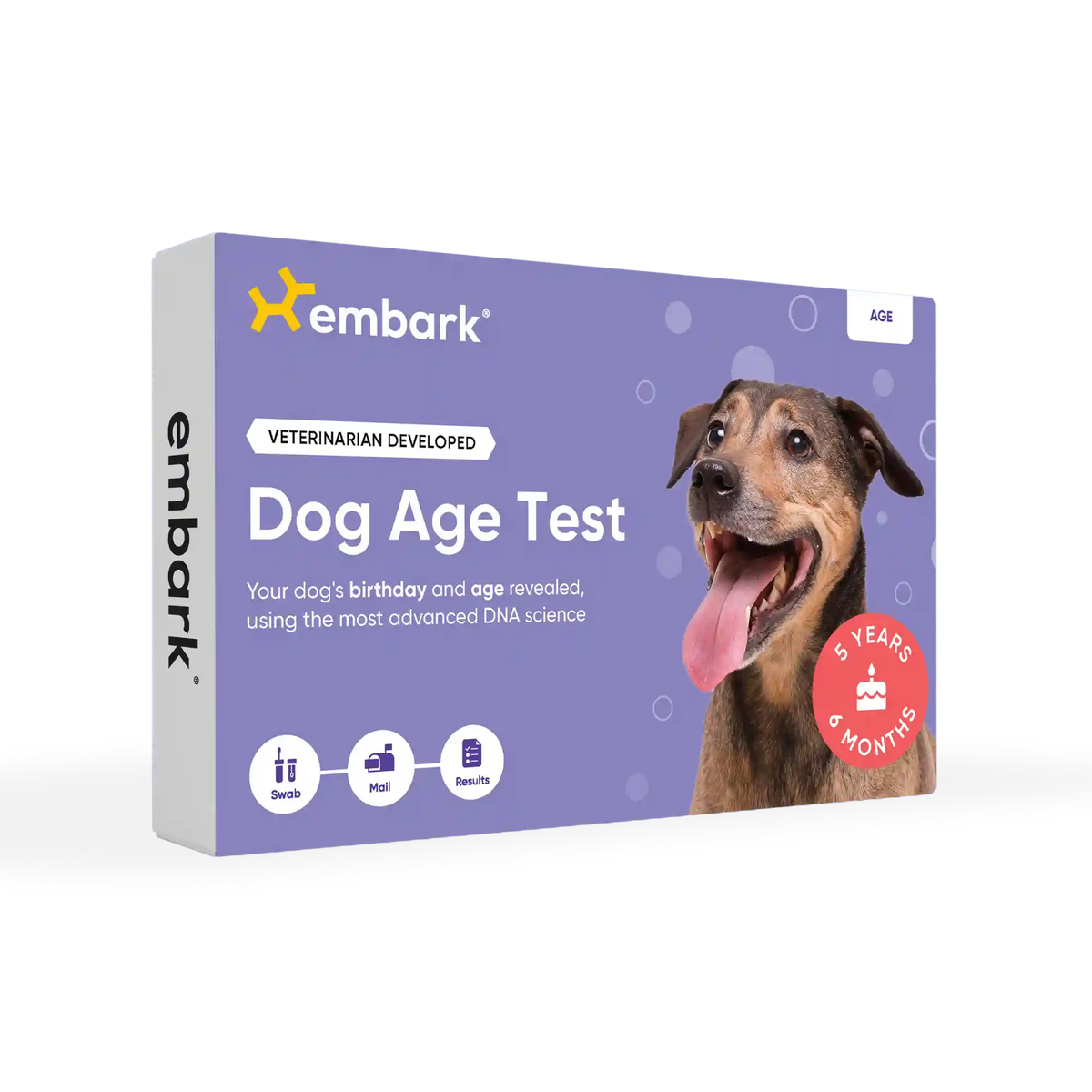 Dog Age Test